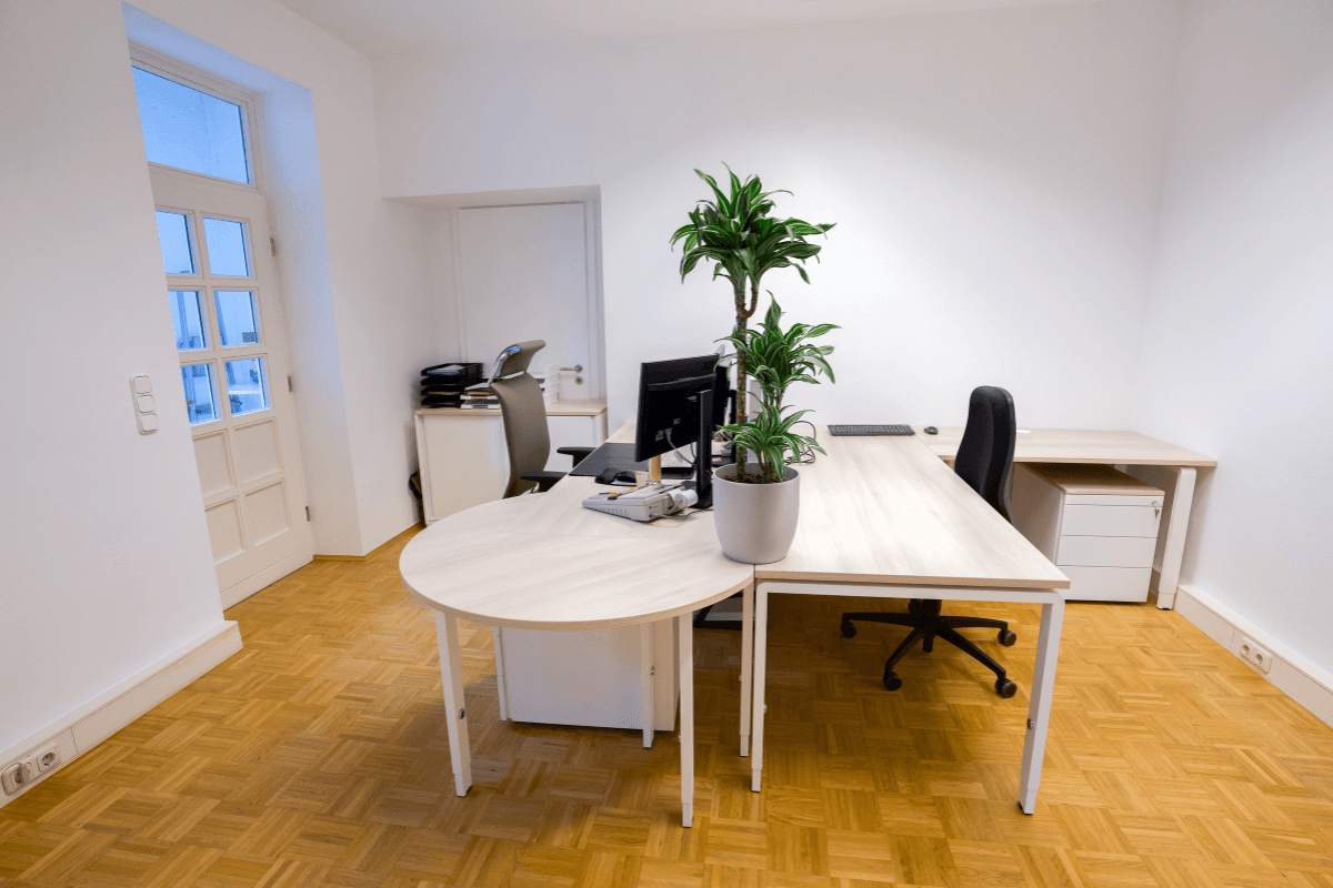 ALLTAX Treuhand Steuerberatungsgesellschaft mbH Steuerfachangestellter (m/w/d) gallery